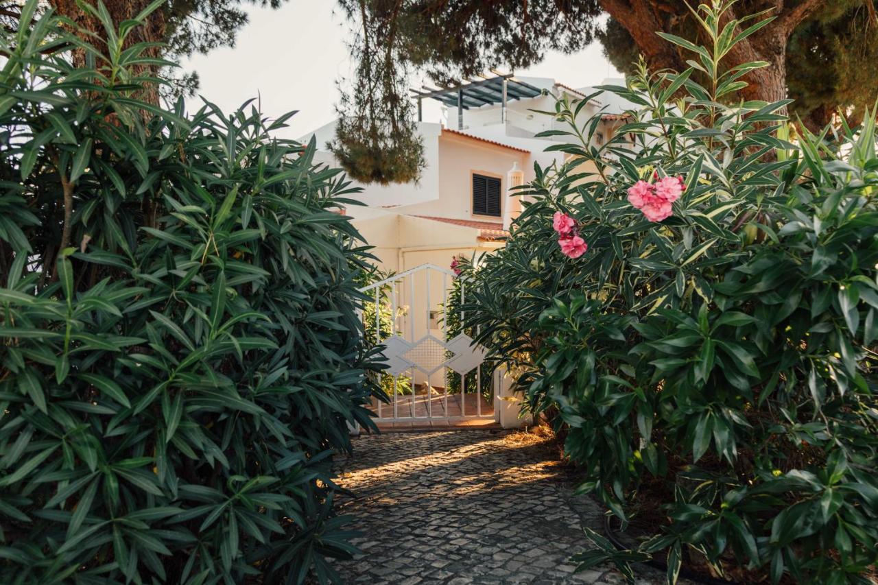 Falesia 25 Albufeira Exteriér fotografie